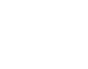 main logo
